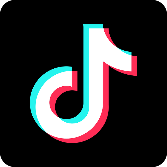 tiktok icon